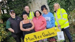 Pollinator project launched in Derry to boost bee population