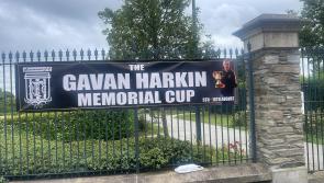 Derry&rsquo;s Brooke Park is set to host to the inaugural Gavin Harkin Memorial Cup