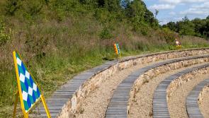 High Alert! installation takes public art into Faughan Valley Woodlands