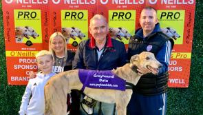 Derry Greyhounds: Blue Jig Molly catches attention in M1 Petfoods Semi-Finals 
