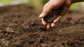 County Derry farmers urged to register for Zone 3 of the Soil Nutrient Health Scheme