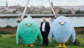 New electricity supplier to launch and share half its profits with customers