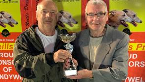Derry Greyhounds: Another Marvel-lous performance by Drumcrow