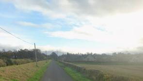 Dog 'put to sleep' after being attacked in Ballykelly