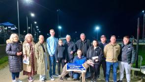Derry Greyhounds: Marvel was the superhero of the Liam Melly Memorial Night