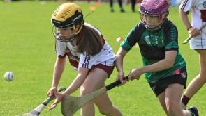 IN PICTURES: Martin McGuinness Chieftain Gaelic Games at Celtic Park