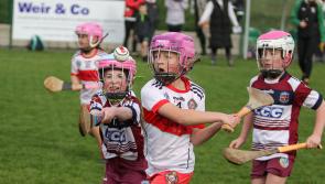 IN PICTURES: Tommy McGuigan Memorial Camogie Blitz