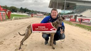 Derry Greyhounds: Community Spirit is the victor at Brandywell