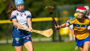 Derry schools shine at Ulster sevens this week