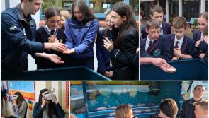 PICTURES: Local students stunned by sea life at Derry's 'Marine Machine'