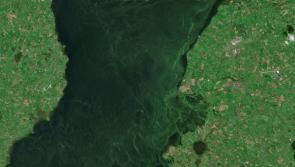New initiative to use space-based technology to predict and monitor blue-green algal blooms in Lough Neagh