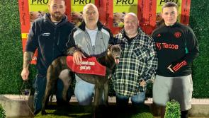 Derry Greyhounds:  Notshort Ofpace lives up to his name