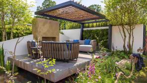 First-time Derry show garden designers sought for Bord Bia Bloom