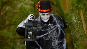 Causeway Coast and Glens &lsquo;Halloween Happenings&rsquo; returns for spooky fun across 4 locations this October