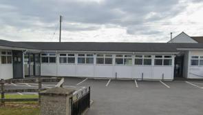 Mid Ulster's Worker's Party raise concerns over the lack of detail provided on the plans for the Health Service.