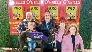 Derry Greyhounds: La Calabaza squashes her rivals’ challenges in Derby Semi-Final