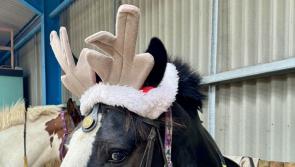 Santa&rsquo;s Stopping by the Fort Centre RDA, Maghera
