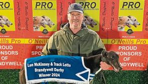 Derry Greyhounds: Sweet, sweet success for La Calabaza in Derby run