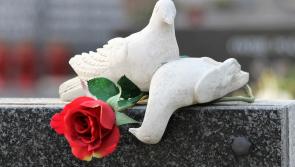 Birds top suspects amid anger and confusion over missing grave stones in Greysteel