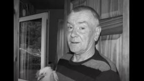 Tributes paid to 'lifelong republican activist' and former Sinn Féin councillor who passed away earlier today