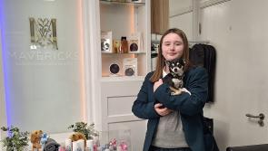 Derry girl launches dog shampoo and designer pawfume at the age of 11