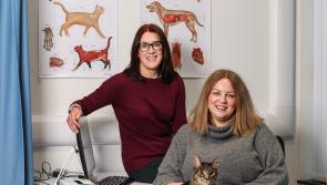 NI to begin training veterinary nurses at degree level as course gets underway at Ulster University in Coleraine