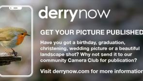 Got a local wedding picture or landscape shot? Send it to the Derry Camera Club! 