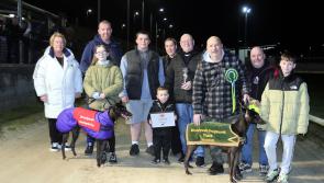 Derry Greyhounds: Fantastic five for 'Meet More Often' in Charles Baxter 500