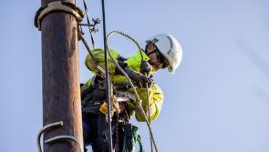 285 international contractors join ESB Networks crews in worst hit areas following Storm Éowyn