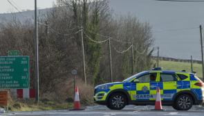 Man tragically killed by falling tree in east Donegal