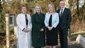 Mid Ulster PEACEPLUS Action Plan Launched