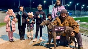 Derry Greyhounds: Beepers Mary fans were buzzing at Brandywell
