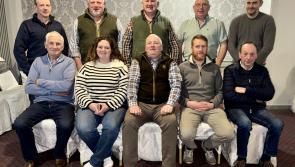 Irish Beltex Club Reflect on Bumper Year