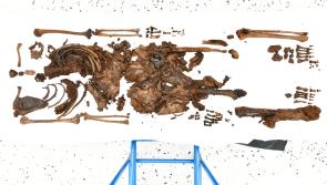 Bellaghy Bog: Ancient remains discovered ‘likely to belong to young woman’