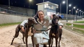 Derry Greyhounds: Four of the Best for Killmacs ahead of his fourth birthday