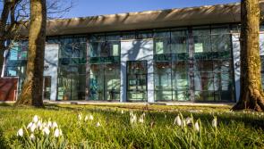 Flowerfield Arts Centre exhibition showcases women’s perspectives through photography