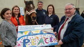 ‘Be Wild’ programme launched to support families within rural Derry