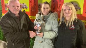 Derry Greyhounds: Titanic effort from Gift lands top sprint at Brandywell