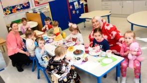 IN PICTURES: World Book Day celebrations in Chapel Road Primary School