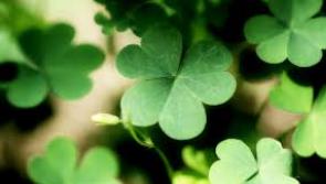 Magherafelt to host St Patrick's Day parade for first time in 12 years