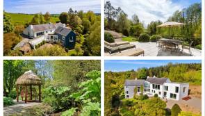 PICTURES: Dream home with fairytale garden and its own maze could be yours for €1.2 million