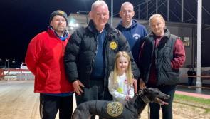 Derry Greyhounds: Fabulous winners for Derry owner Stephen Radcliffe at Lifford
