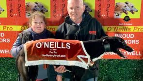 Derry Greyhounds: Retaining the Marathon Crown is 'Maggies Aim'