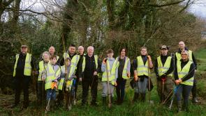 Further restoration works carried out following devastating pollution incident near Eglinton