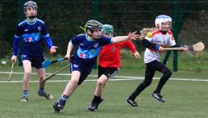IN PICTURES: Rosemount claim Derry Primary Schools' Hurling Final held at the Shared Village