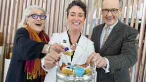 County Derry's The Chocolate Manor featured in New Good Food Ireland&reg; Platform