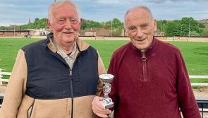 Derry Greyhounds: Old Fort Lakota, fastest at Brandywell so far this year