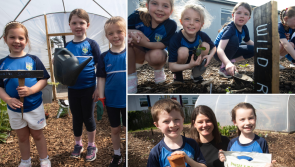 IN PICTURES: Hollybush PS marks ‘International Compost Awareness Week’