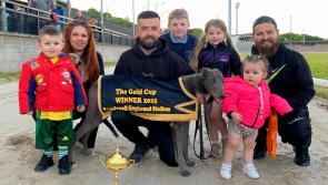 Derry Greyhounds: Do It Jella’s Brandywell Gold Cup Glory