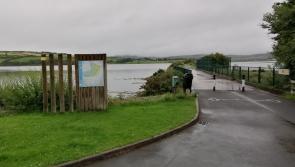 Take a walk on the wild side at Inch Island this June